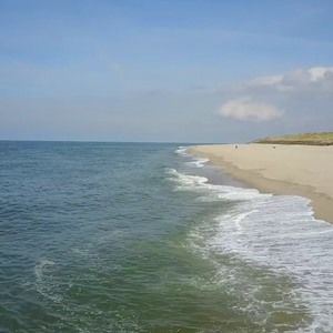 Meet your Posher, Dwayne